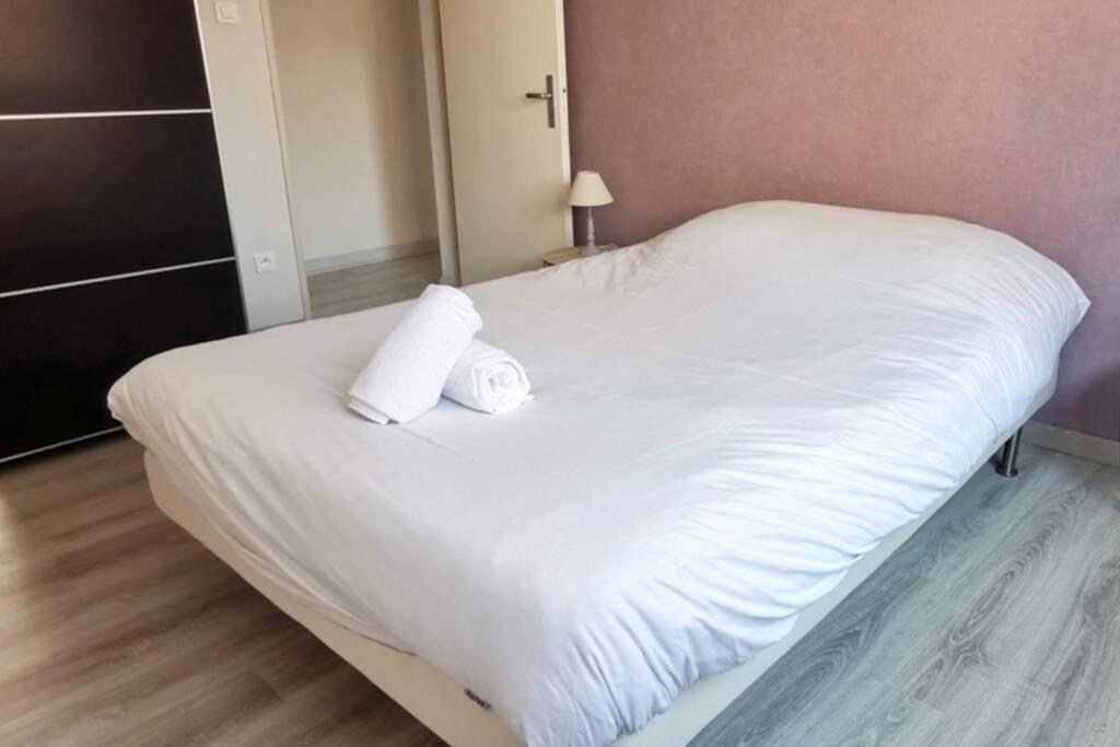 Appartement F2 Cosy Proche Centre ستراسبورغ المظهر الخارجي الصورة