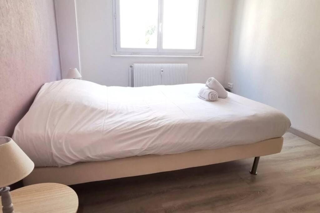 Appartement F2 Cosy Proche Centre ستراسبورغ المظهر الخارجي الصورة