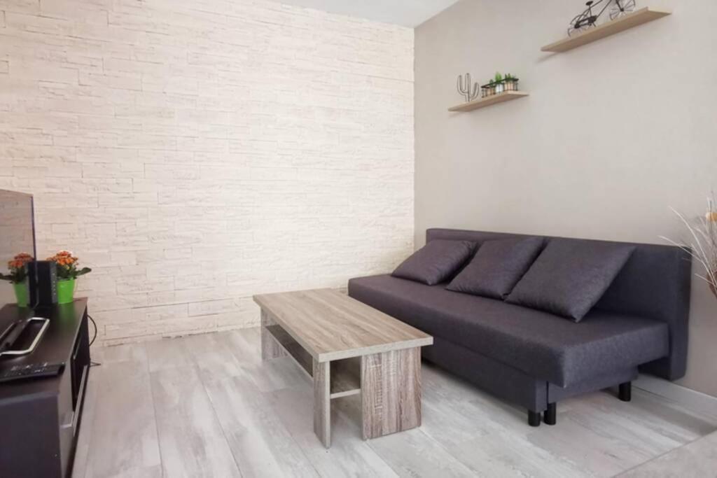 Appartement F2 Cosy Proche Centre ستراسبورغ المظهر الخارجي الصورة
